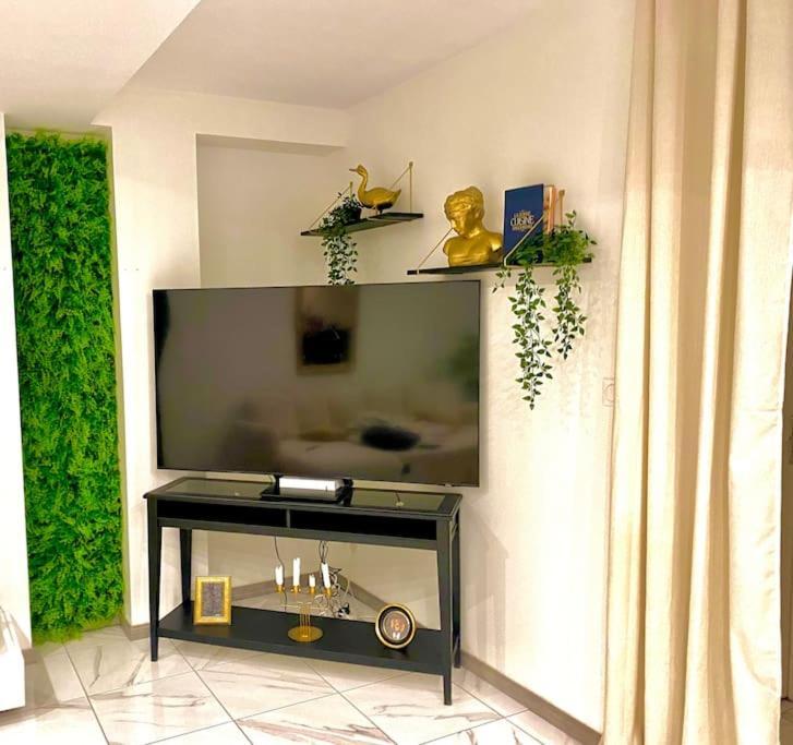 Toulouse Vaste Appartement Tres Lumineux Exterior photo